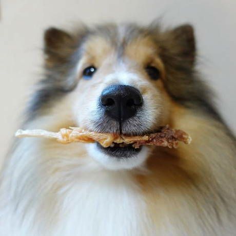 New Green Completely additive-free Duck fiber stick double roll 8 pieces