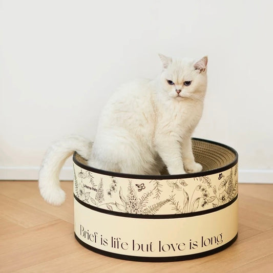 High-Design Cat Scratching Board
