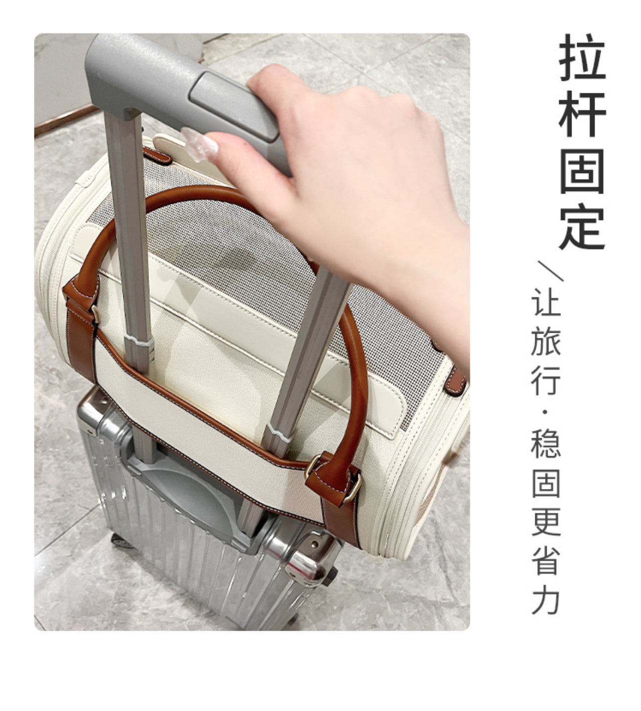 Luxe Leather & Canvas Pet Carrier
