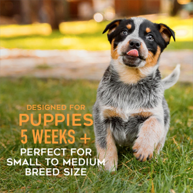 Tiki Dog® Baby Beef & Beef Liver Recipe in Broth Wet Puppy Food 3oz*4
