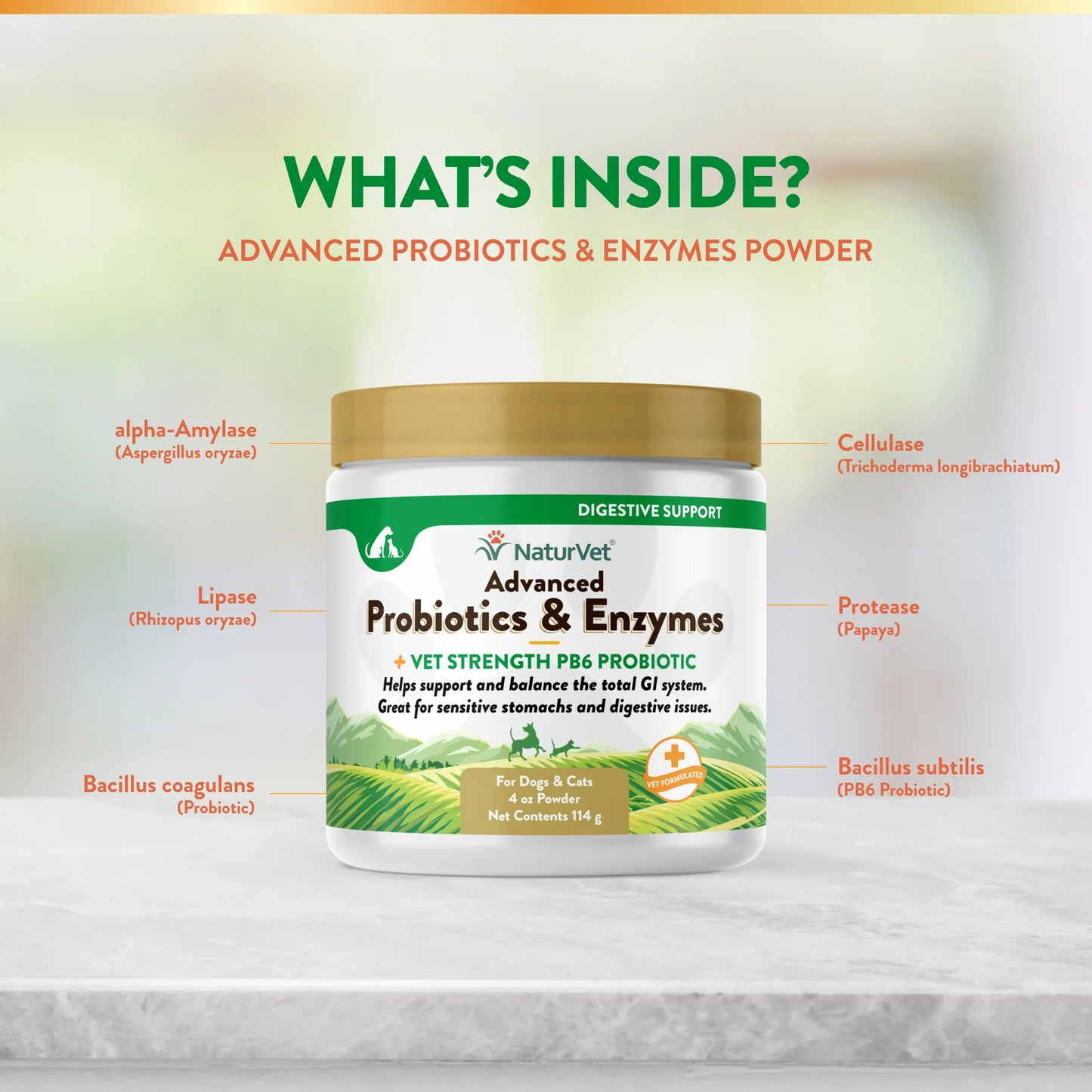 NATURVET® ADVANCED PROBIOTICS & ENZYMES POWDER