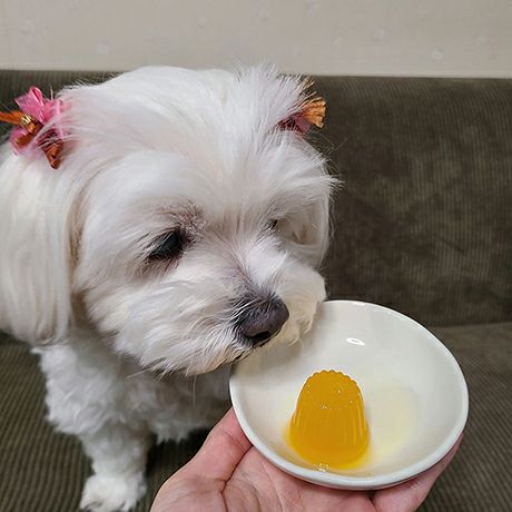 Petio Sweet Potato in Jelly 16g x 20 pieces- Dogs