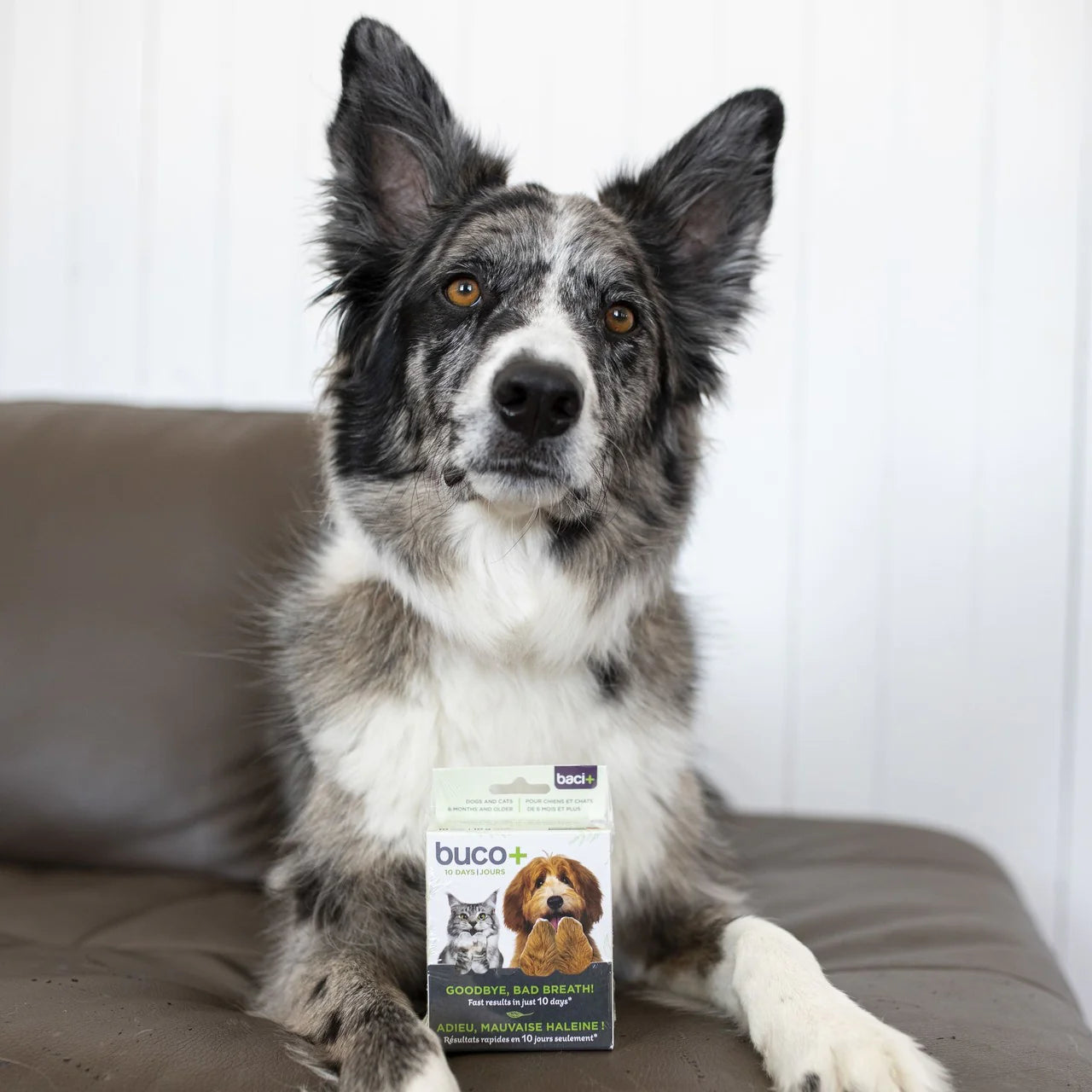 buco+ 10 days bad breath