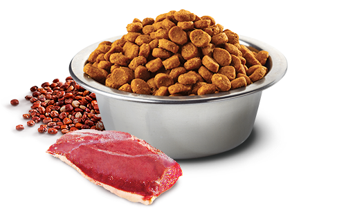 Farmina N&D Quinoa Feline Duck, Broccoli, Asparagus & Quinoa Neutered