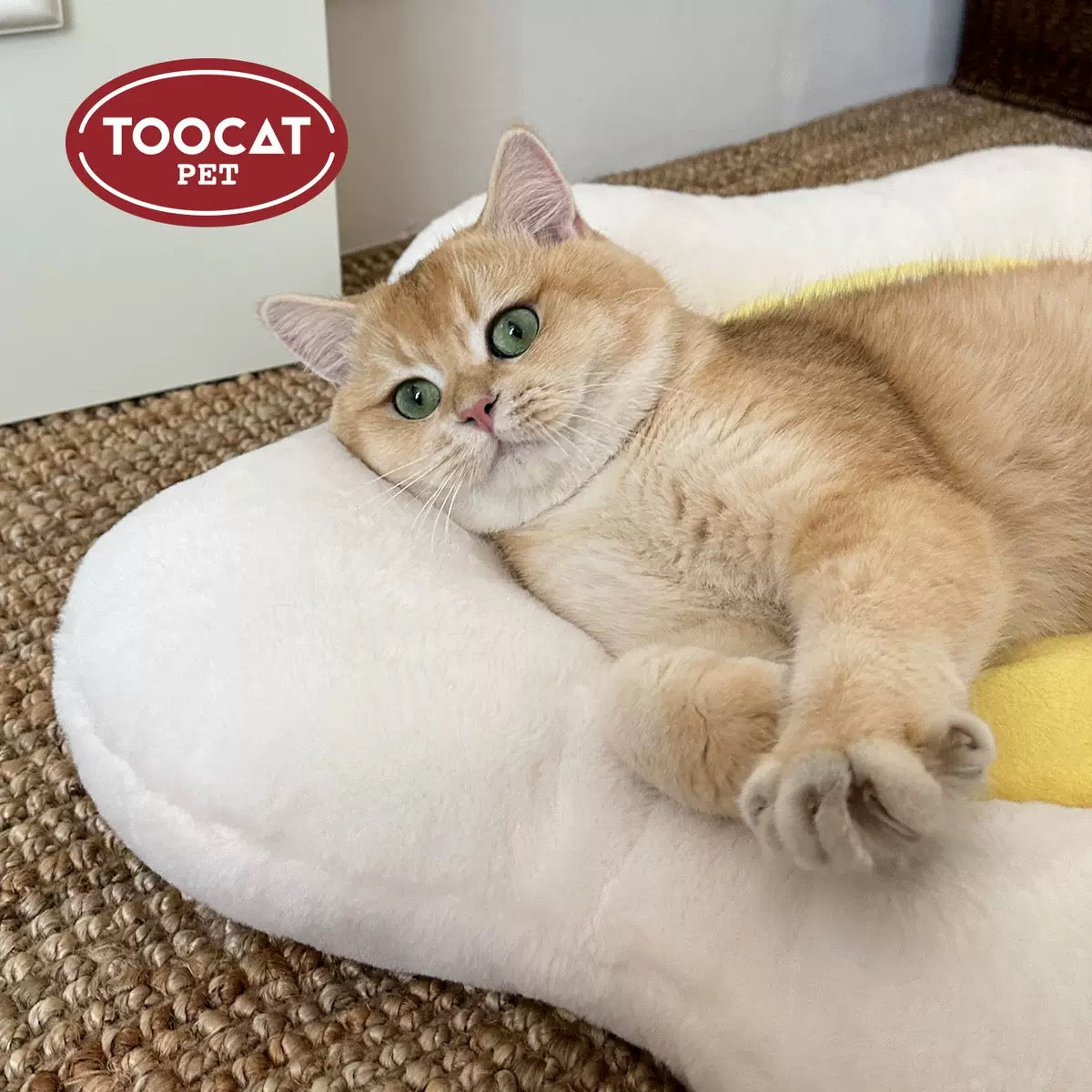Sunny side-up Pet Bed