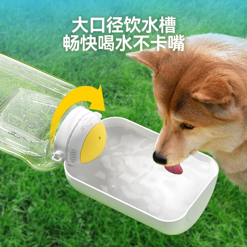 Travel Water Bottle – Hydration & Nutrition in One Sleek Design