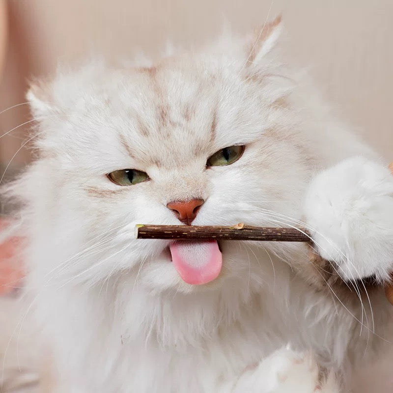 Matatabi Dental Chew Stick for cats