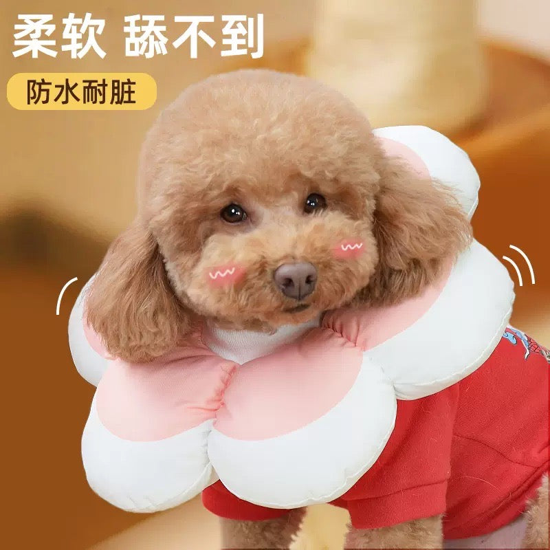 E-Collar For Cats and Dogs