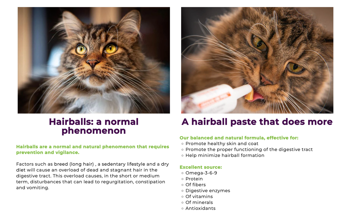 Baci Hairball - Finicky Cat 85g