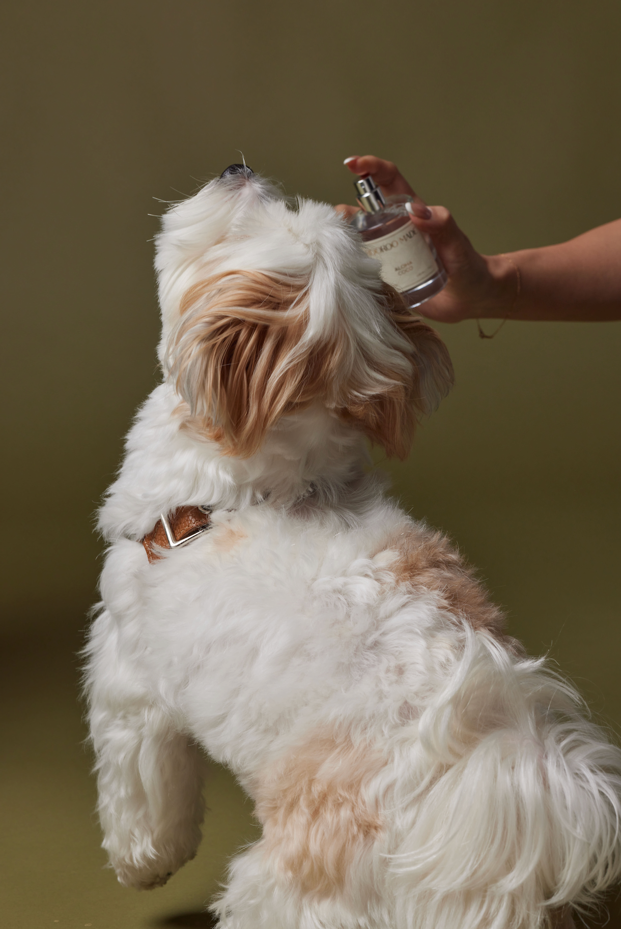 ROOROO MADE - Dog Perfume | ALOHA COCO