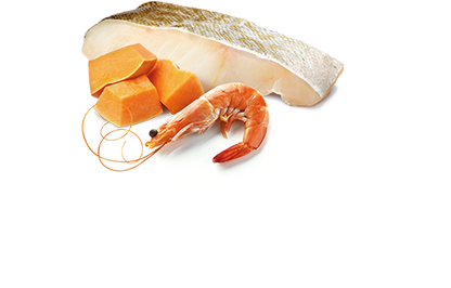 Farmina N&D Ocean Feline Rawcan Cod, Shrimp & Pumpkin Kitten 3pk