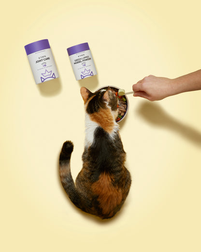 KRWN Joint Care Powder