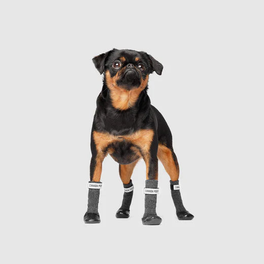 CANADA POOCH® SECURE SOCK BOOTS BLACK/GREY