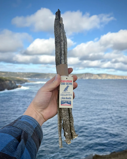 Land & Sea Pets -  Land & Sea Pets 5 Skin Bundle