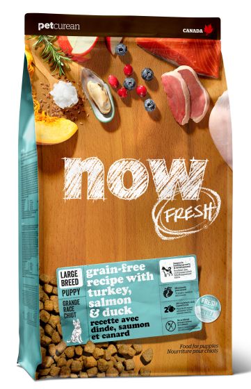 Now Fresh Grain Free Turkey, Salmon & Duck Large Breed Puppy Dog