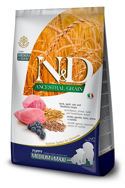 Farmina N&D Ancestral Grain Canine Lamb & Blueberry Med/Maxi Puppy-26.4lbs