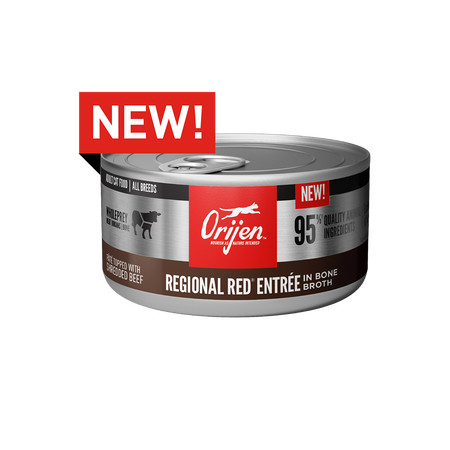 Orijen Regional Red Entree Cat Wet Food