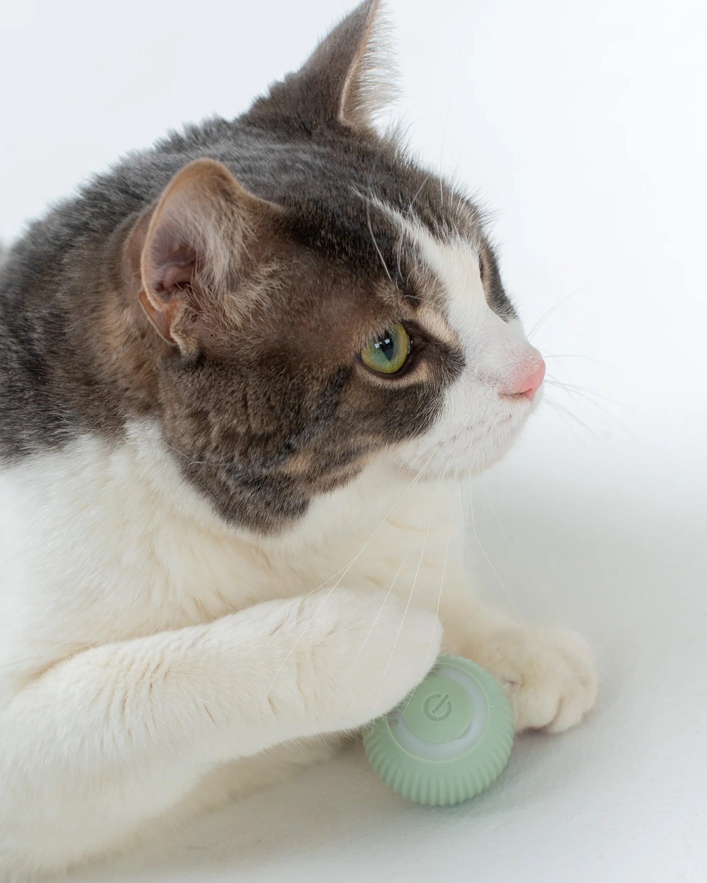 Dexypaws Interactive Toy For Cat, Smart Rotating Ball, Sage Green