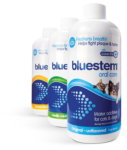 BLUESTEM™ ORAL CARE WATER ADDITIVE WITH COACTIV+™ FOR DOGS & CATS 500ML