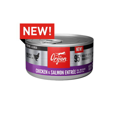 Orijen Chicken + Salmon Entree Kitten Cat Wet Food