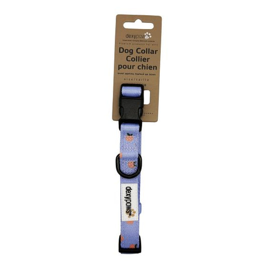 Dexypaws Polyester Dog Collar, Sky Blue With Tangerine Print