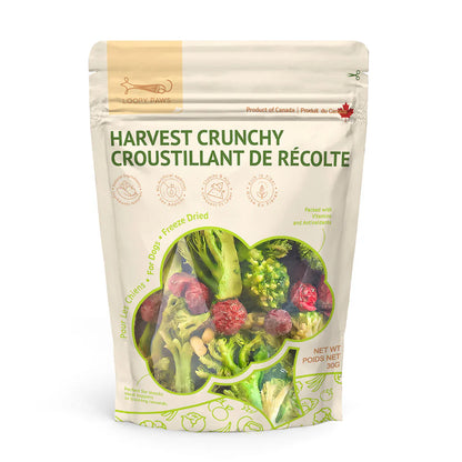 Loopy Paws Harvest Crunchy