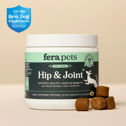 Fera Pets – Hip + Joint for Dogs, Soft Chews – 90 count