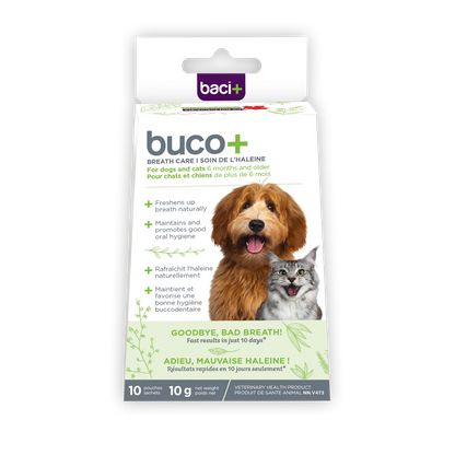 buco+ 10 days bad breath