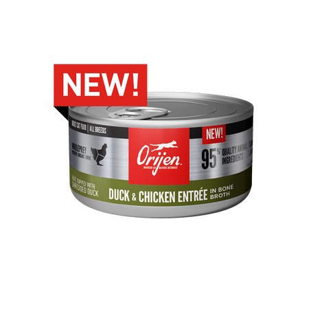 Orijen Duck + Chicken Entree Cat Wet Food