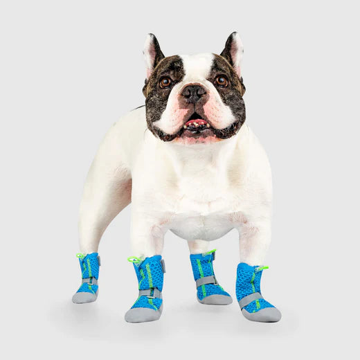 Canada Pooch® Chill Seeker Cooling Boots Blue