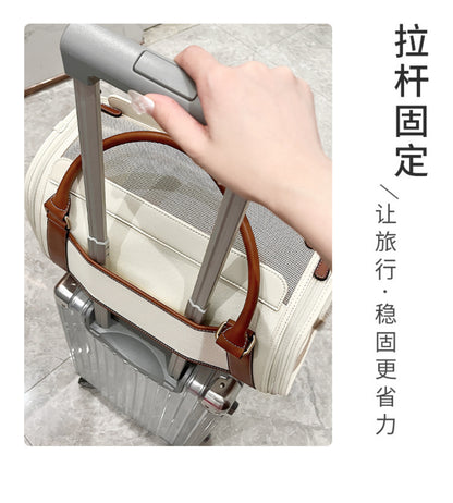 Luxe Leather & Canvas Pet Carrier