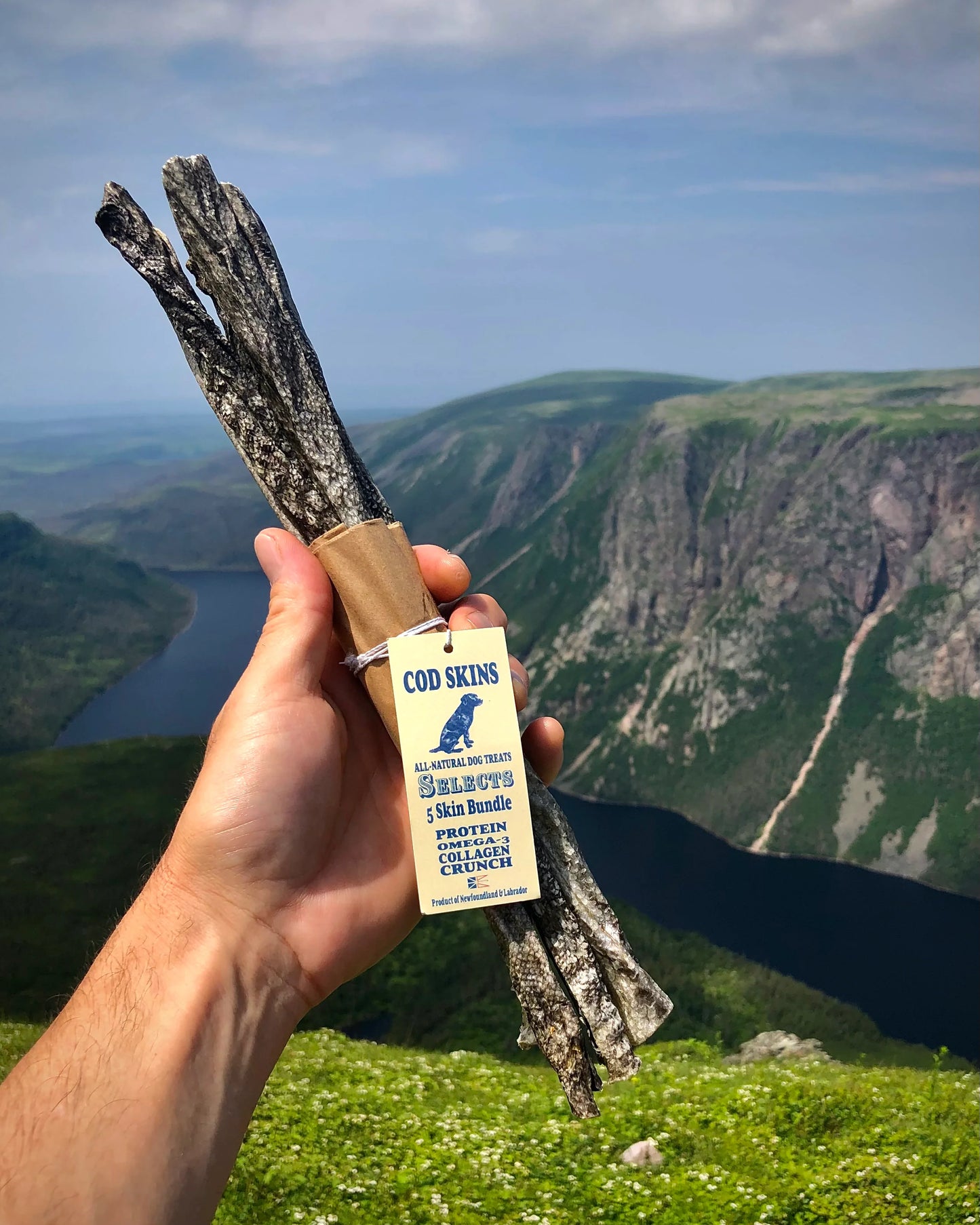 Land & Sea Pets -  Land & Sea Pets 5 Skin Bundle