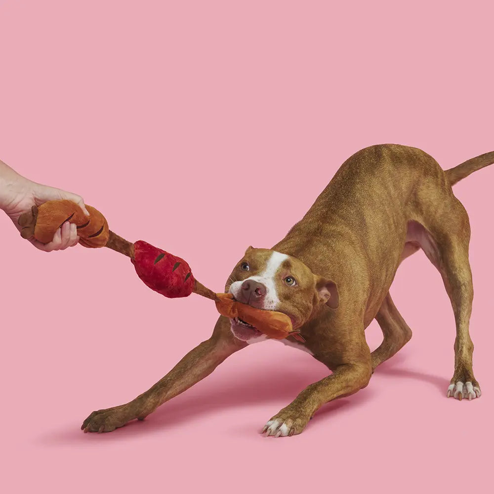 Bark – Lickin Link Ssge Brwn