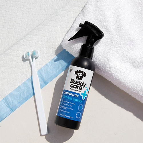 Buddycare™ Antiseptic Dental Spray Suitable for All Pets 6.76 fl oz