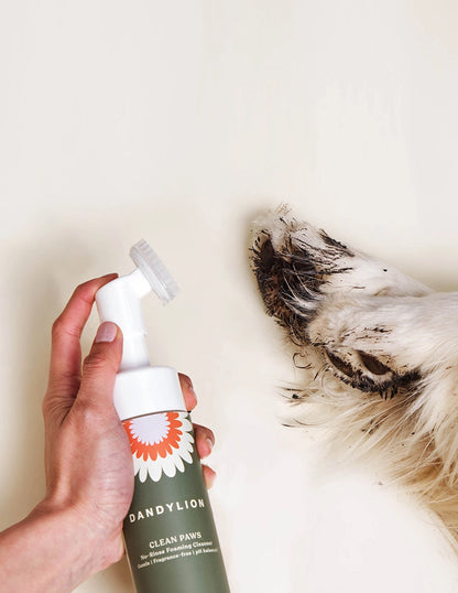 Dandylion Clean Paws No-Rinse Foaming Cleanser