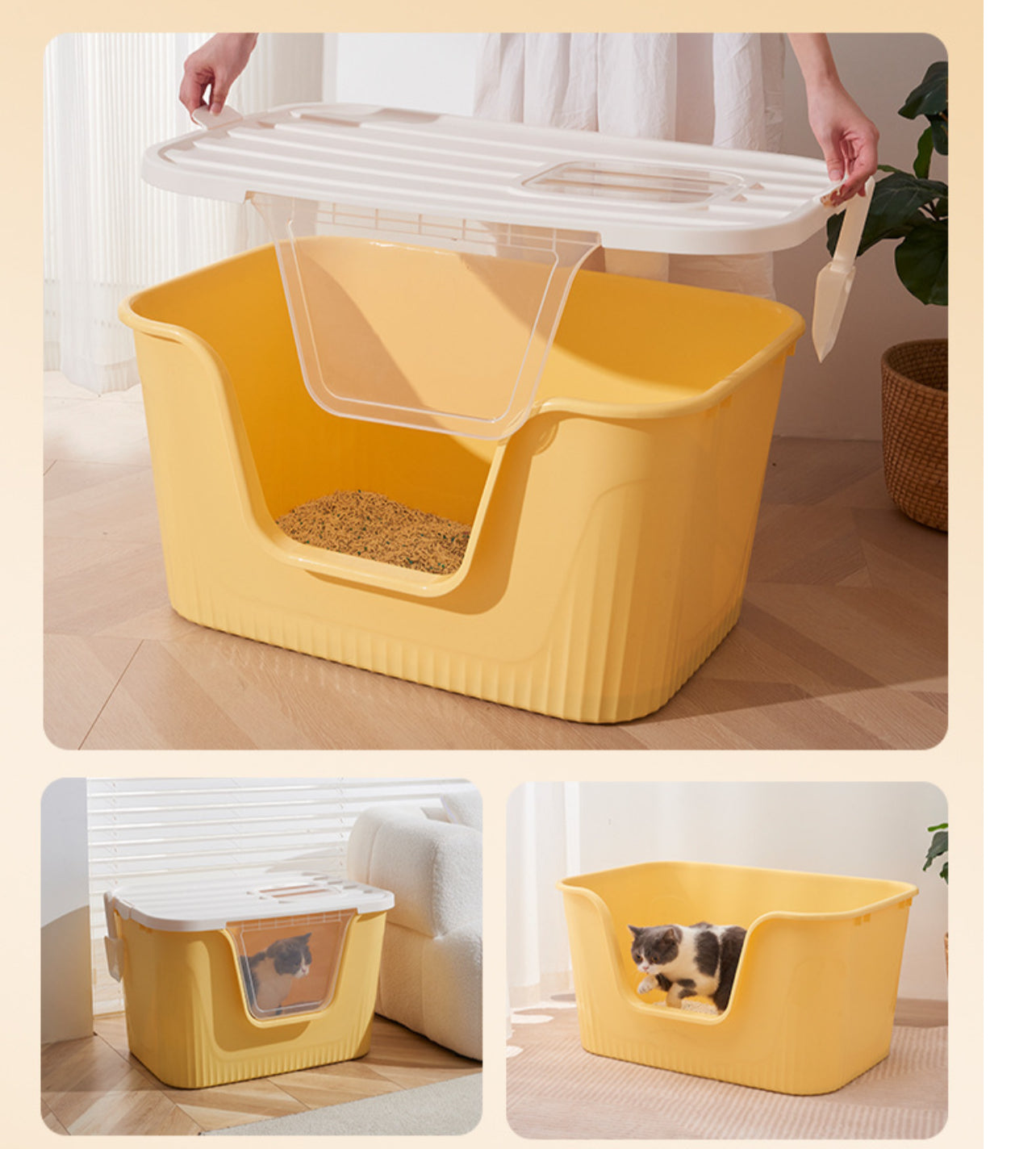 Super large litter box with top open entrance lid