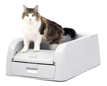 Petsafe Self-Cleaning Scoofree Clumping Litter Box