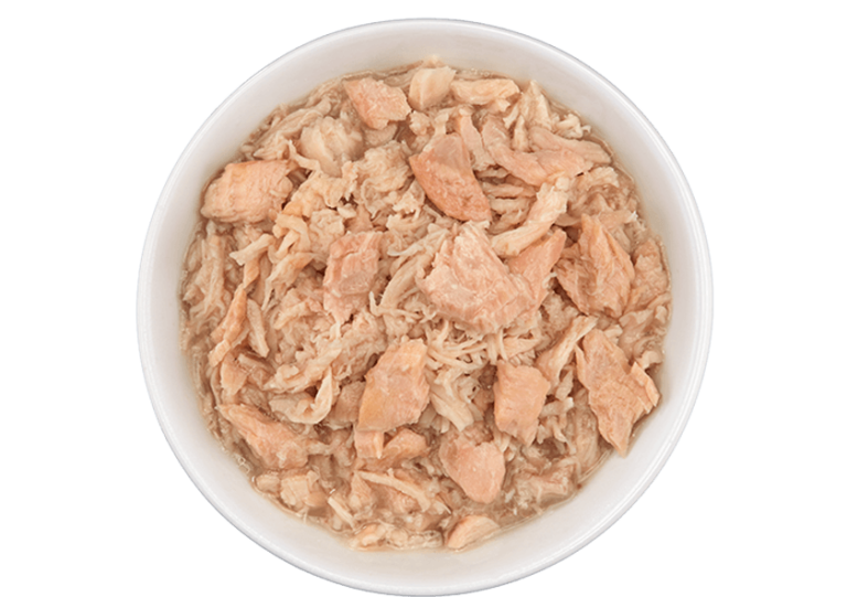 TIKI CAT® WILD SALMON & CHICKEN RECIPE IN CHICKEN CONSOMMÉ WET CAT FOOD