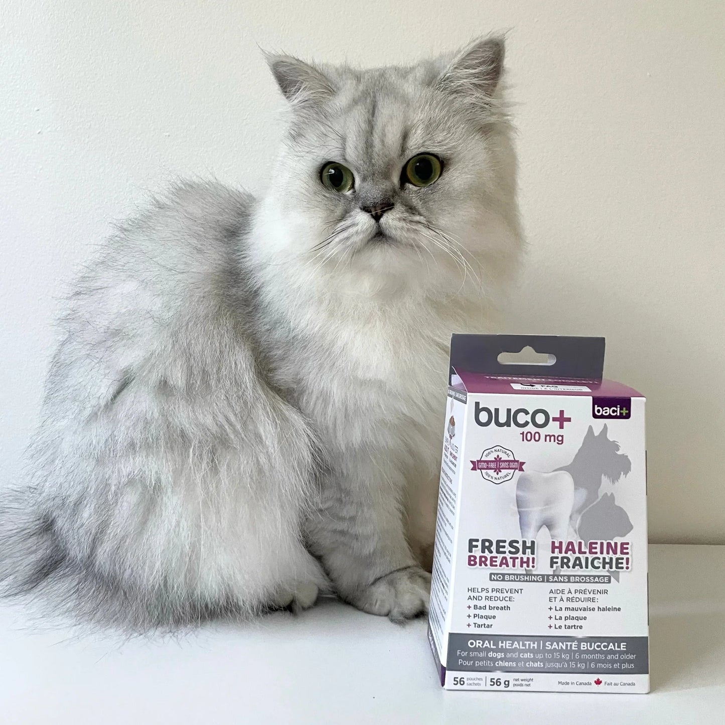 buco+ fresh breath and healthy teeth for cats and dogs 35G