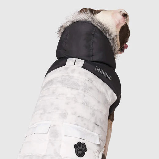 CANADA POOCH® ECO TRUE NORTH PARKA MARBLE