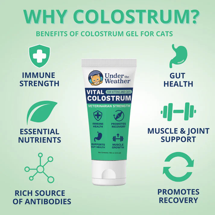 Colostrum Gel for Cats