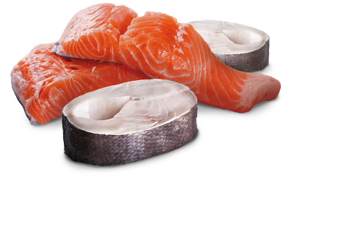 Farmina N&D Ocean Canine Rawcan Salmon & Codfish