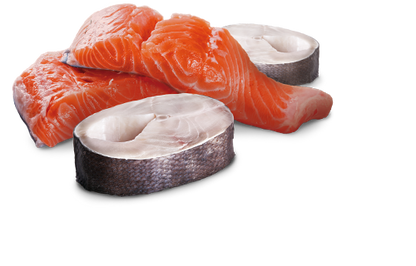 Farmina N&D Ocean Canine Rawcan Salmon & Codfish