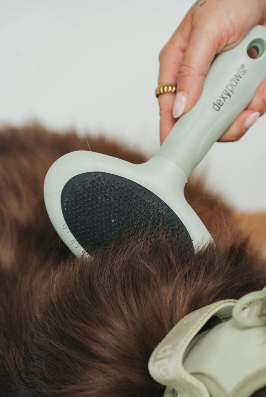 Dexypaws Slicker Brush