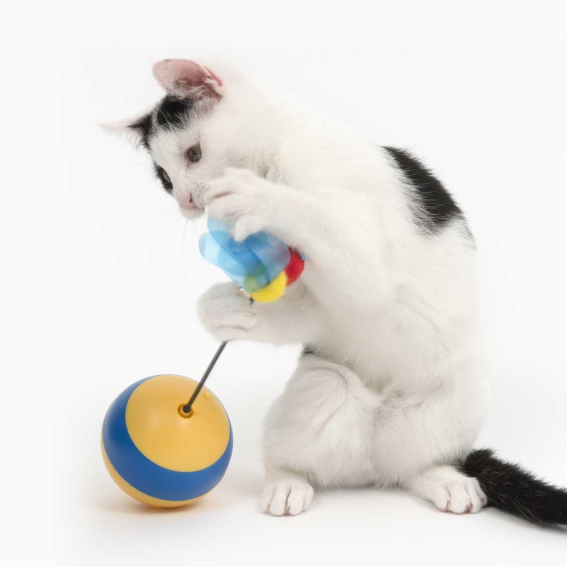 Catit Play Spinning Bee