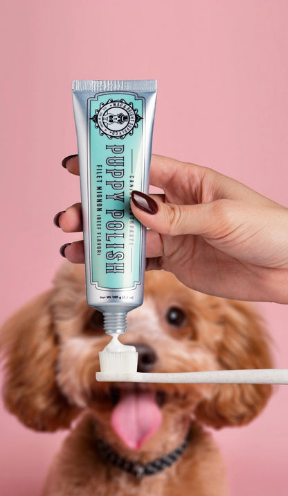 Wag & Bright Puppy Polish Toothpaste - Filet Mignon (Beef)
