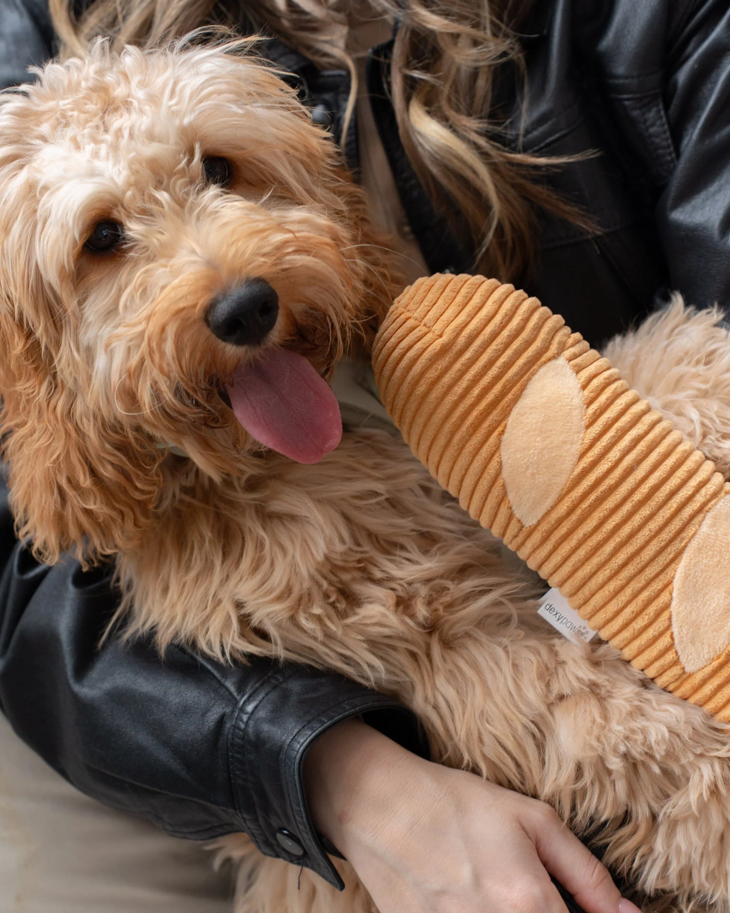 Dexypaws Plush Dog Toy, Baguette 12"