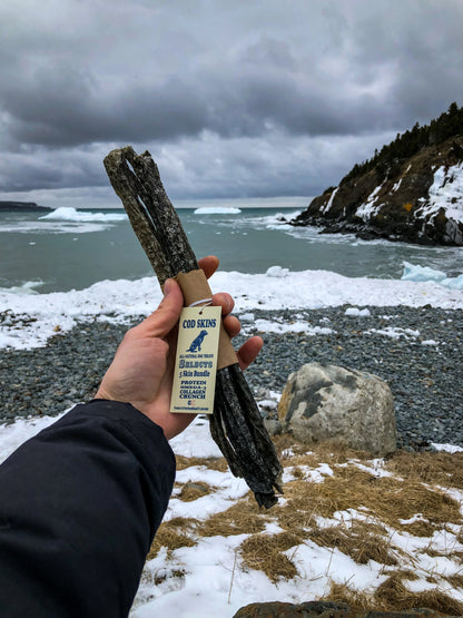 Land & Sea Pets -  Land & Sea Pets 5 Skin Bundle