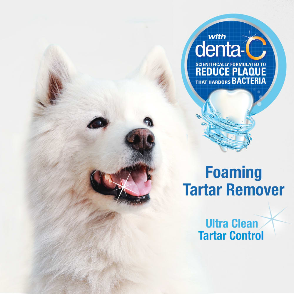 Nylabone® Advanced Oral Care Foam Tartar Remover