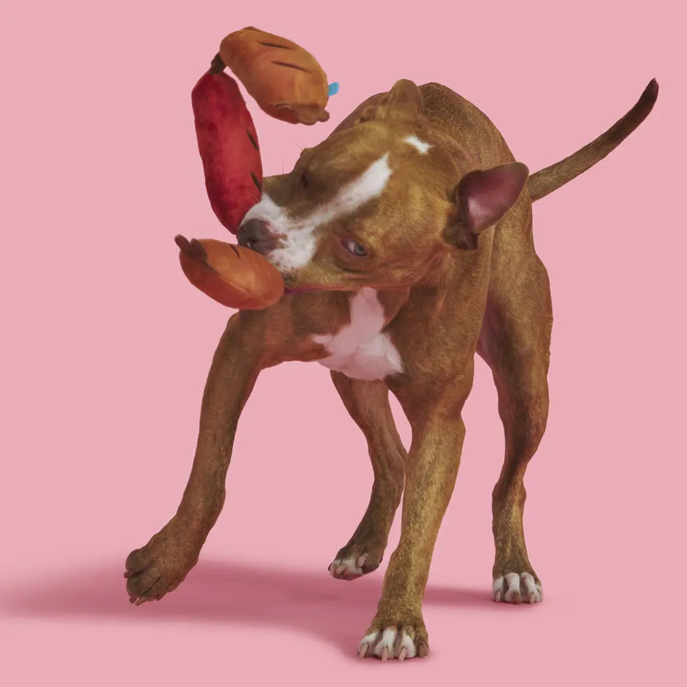 Bark – Lickin Link Ssge Brwn